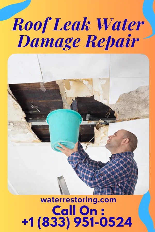Roof Leak Water Damage Repair in New Berlin, PA