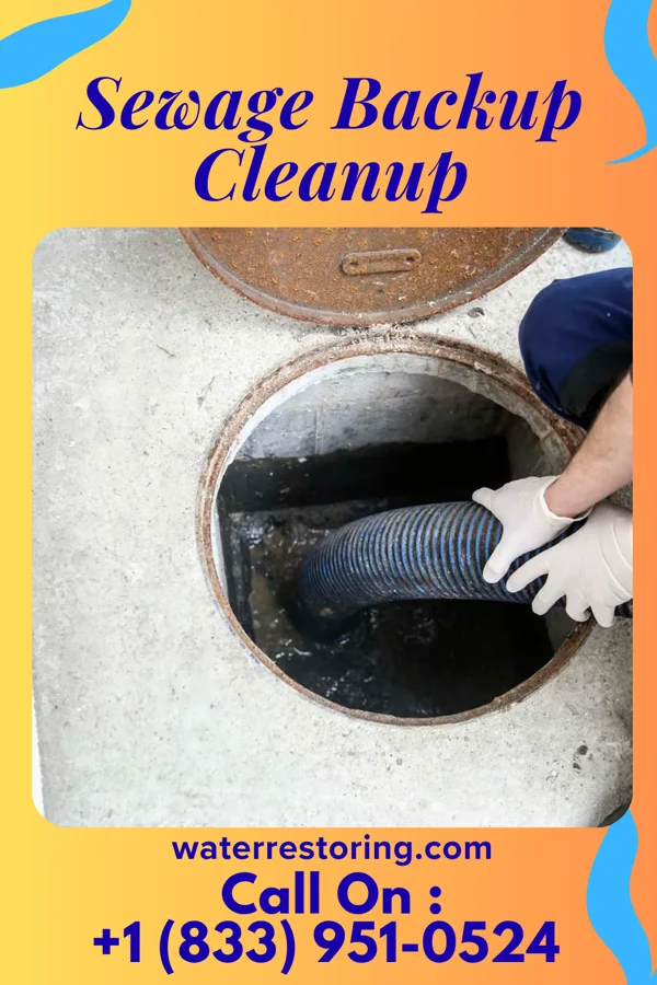 Sewage Backup Cleanup in New Berlin, PA